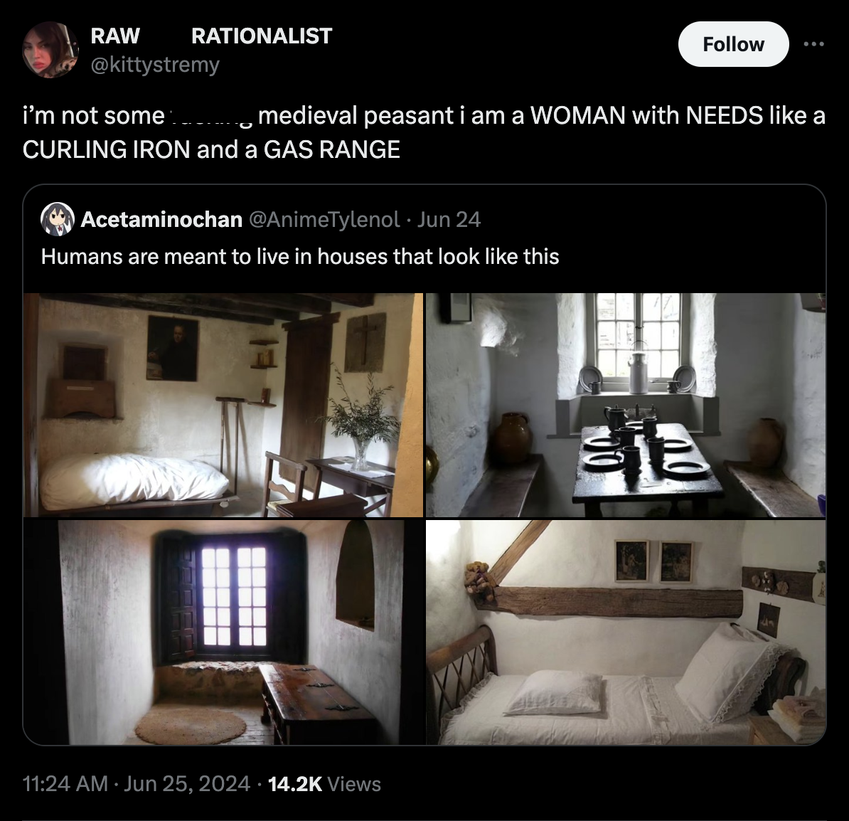 interior design - Rationalist Raw i'm not some medieval peasant i am a Woman with Needs a Curling Iron and a Gas Range Acetaminochan Jun 24 Humans are meant to live in houses that look this T Views